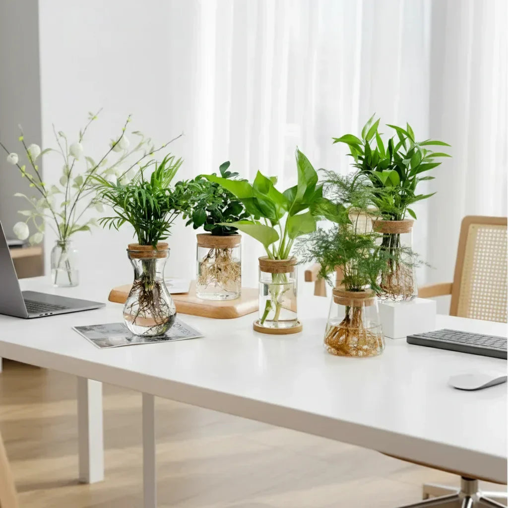 https://cdn.shopify.com/s/files/1/0965/8109/1655/files/47c0d580-c38c-4949-8942-b27efe9063d4_8612ada8-074a-40ae-95d2-cc08fb304d53.webp?v=1772119782